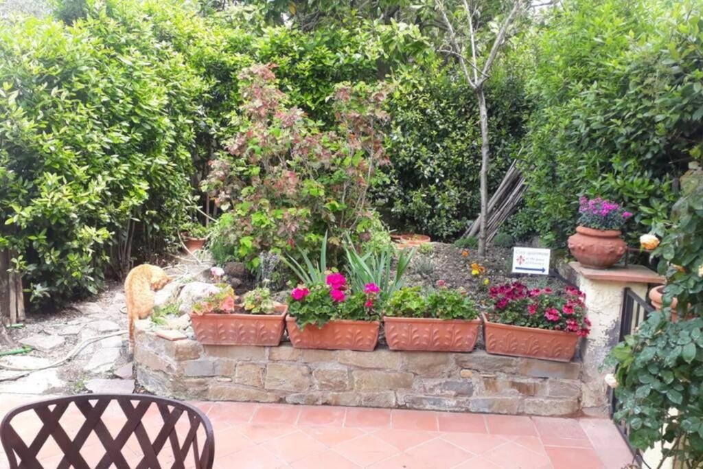 Cozy Apartment At The Gates Of Florence Tavarnuzze Buitenkant foto